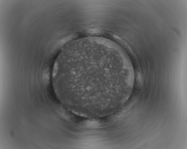 X0000113550668200910161435