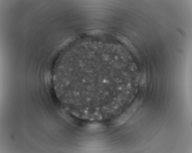 X0000113550669200910161435
