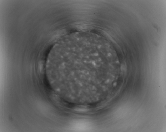 X0000113550671200910161435