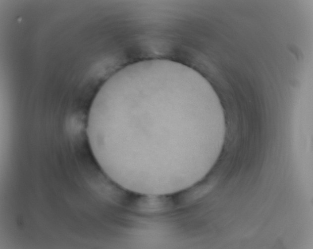 X0000113550672200910161435