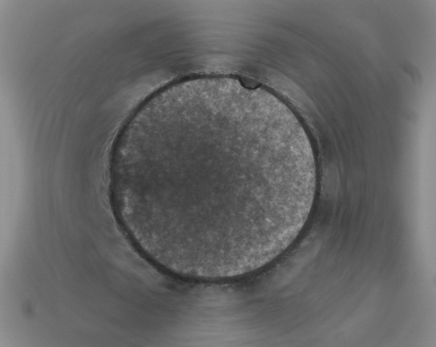 X0000113550673200910161434