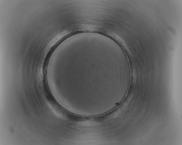 X0000113550674200910161434
