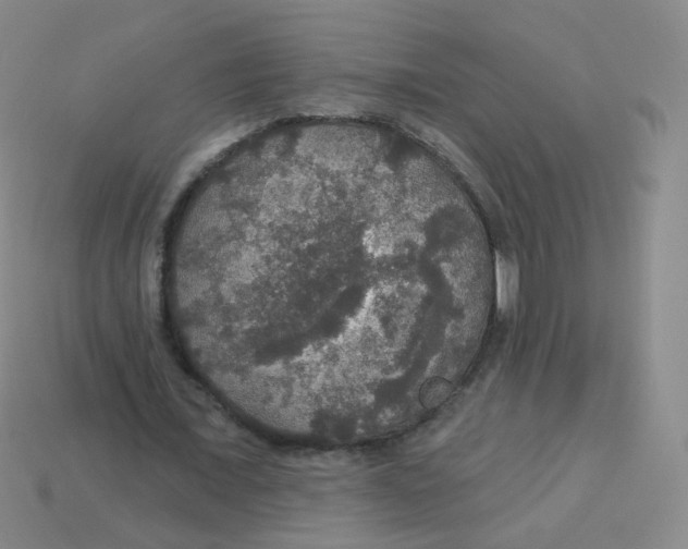 X0000113550675200910161434