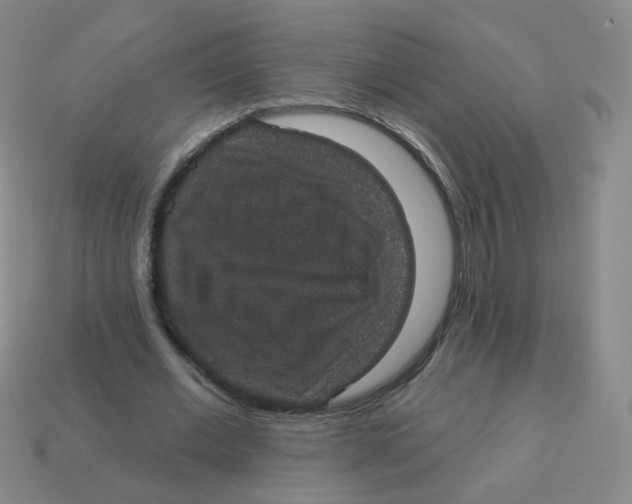 X0000113550677200910161434