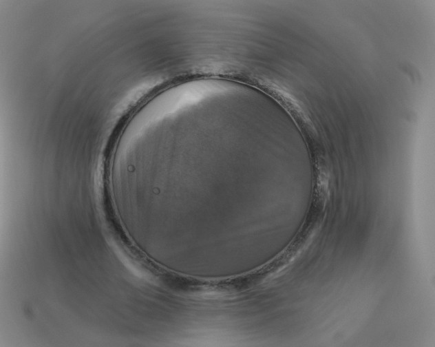 X0000113550678200910161434