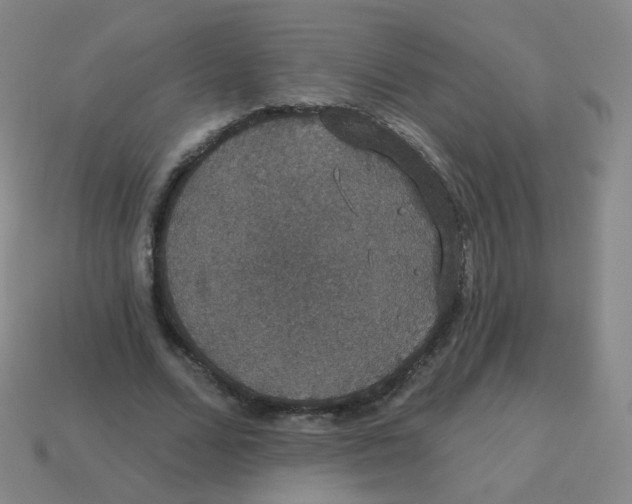 X0000113550680200910161434
