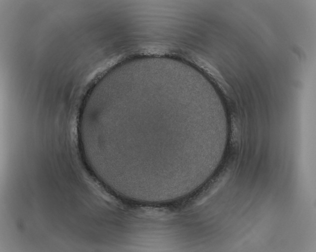 X0000113550681200910161434