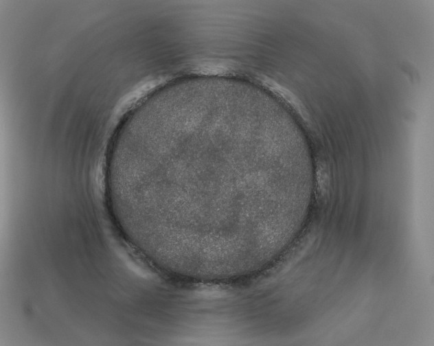 X0000113550682200910161434