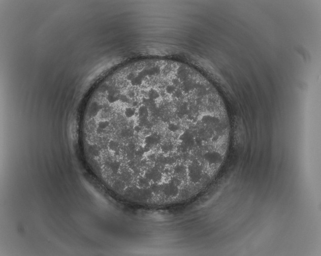 X0000113550683200910161434