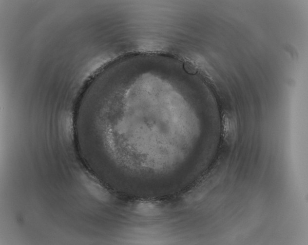 X0000113550684200910161434