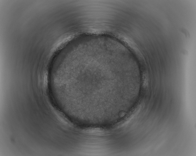 X0000113550685200910161434