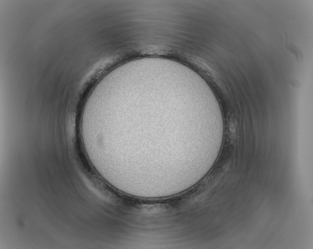 X0000113550686200910161434