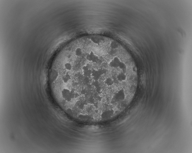 X0000113550687200910161434