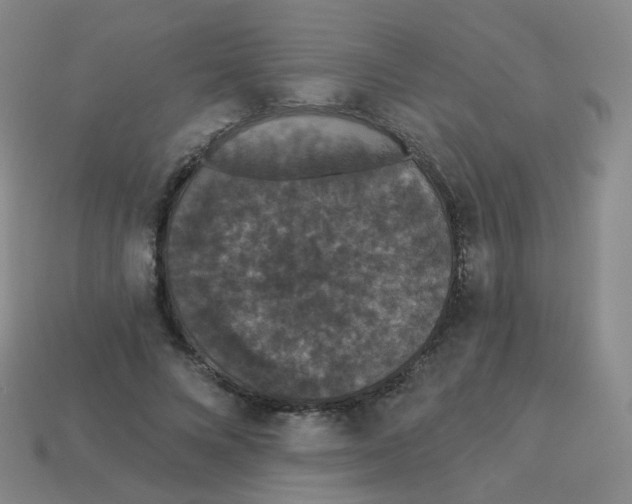 X0000113550688200910161434