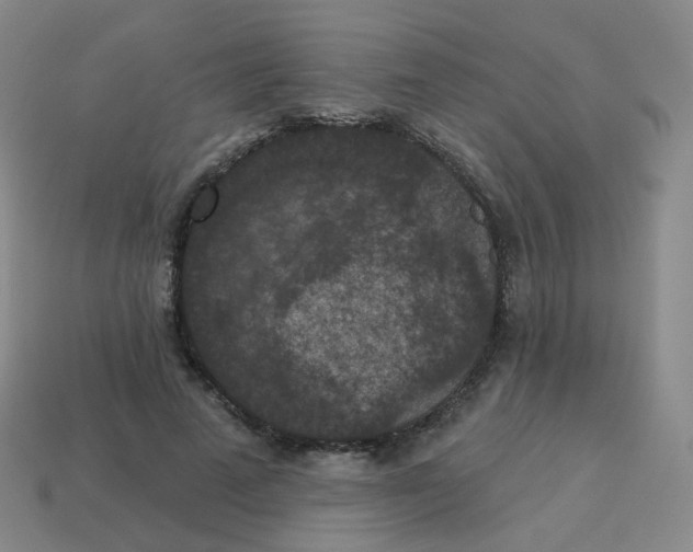 X0000113550689200910161434