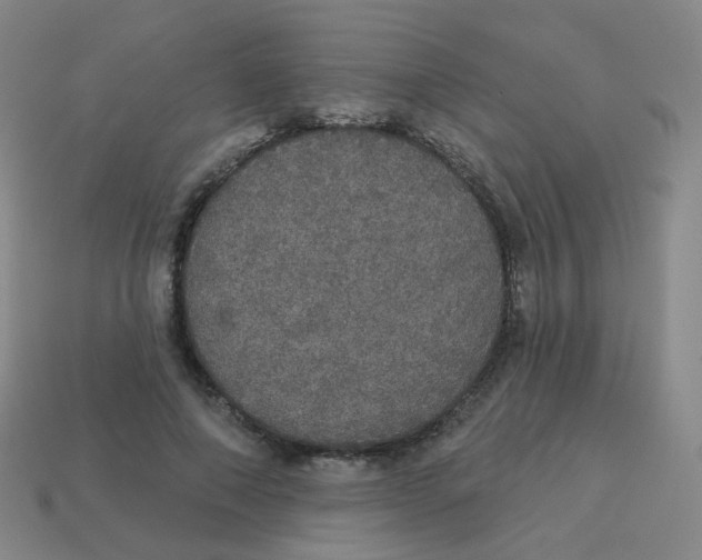 X0000113550690200910161434