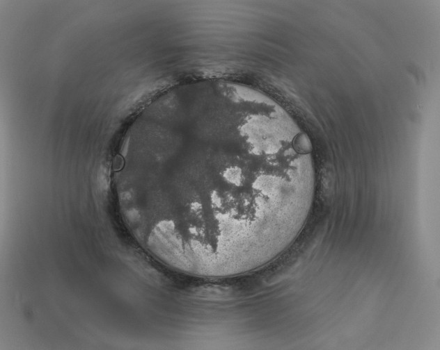 X0000113550691200910161434