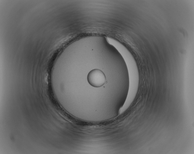 X0000113550692200910161434