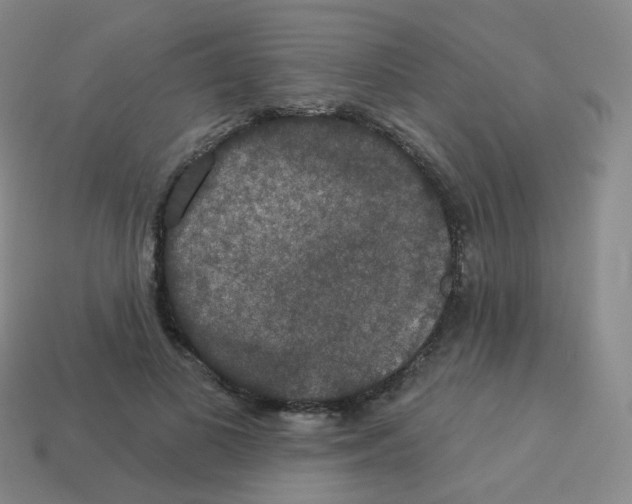 X0000113550693200910161434