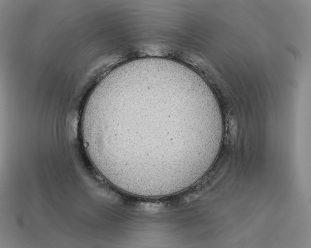 X0000113550694200910161434
