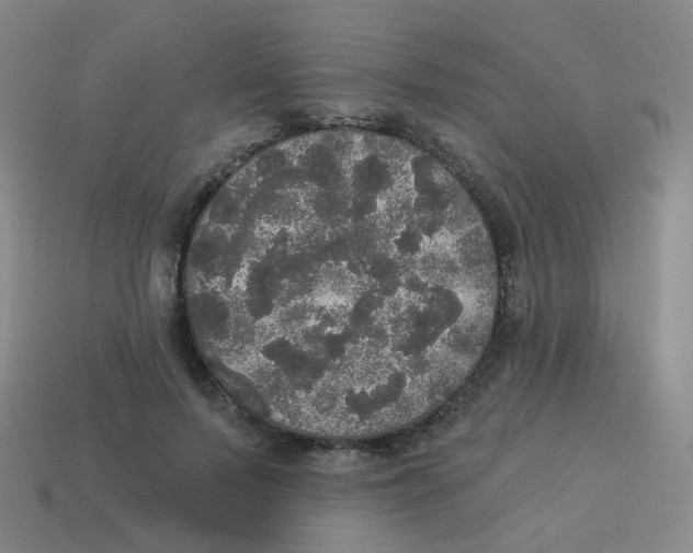 X0000113550695200910161434
