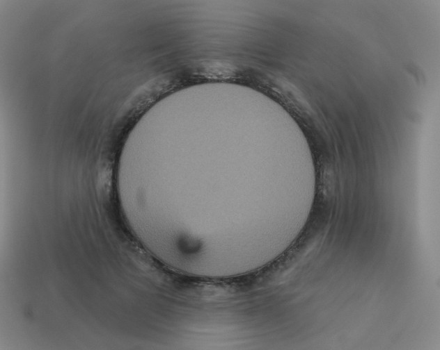 X0000113550697200910161434