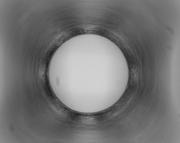 X0000113550698200910161434