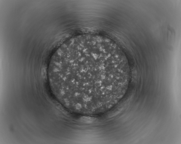 X0000113550699200910161434