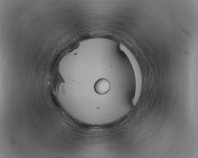 X0000113550701200910161434
