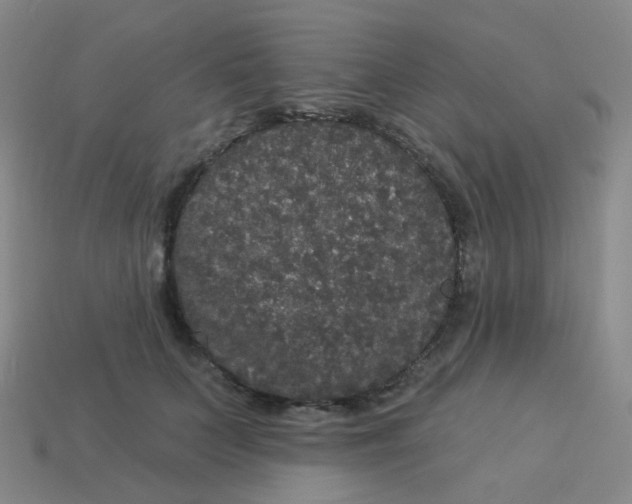 X0000113550703200910161434