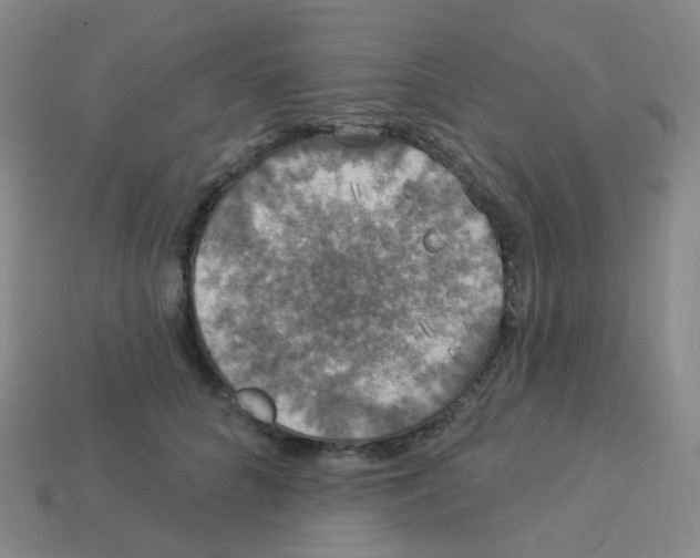 X0000113550704200910161434