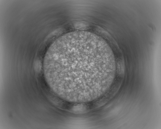 X0000113550705200910161434