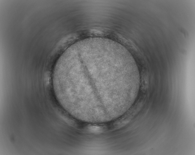 X0000113550706200910161434