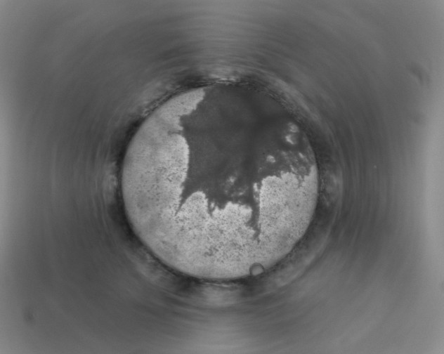 X0000113550707200910161434