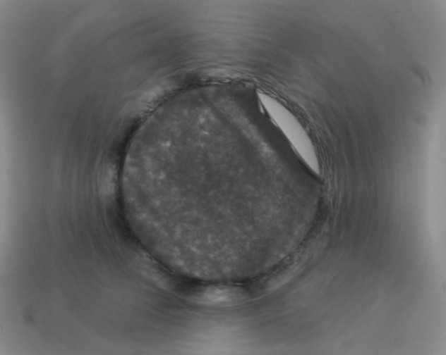 X0000113550708200910161434