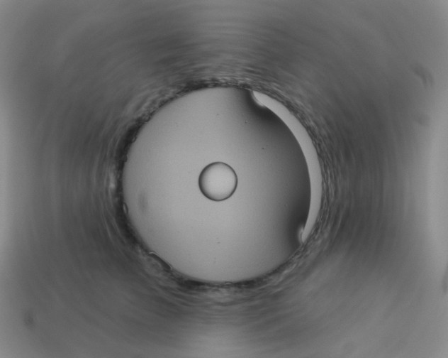 X0000113550709200910161434