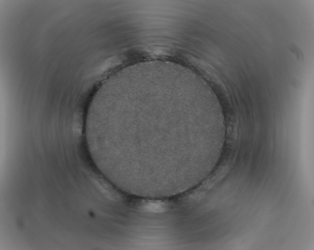 X0000113550710200910161434