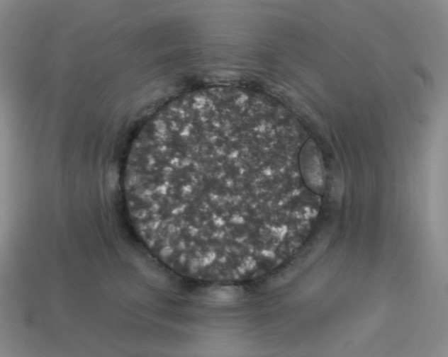 X0000113550711200910161434