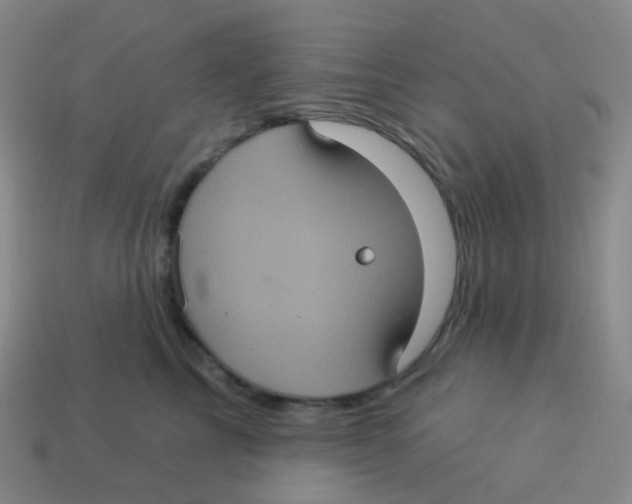 X0000113550713200910161434