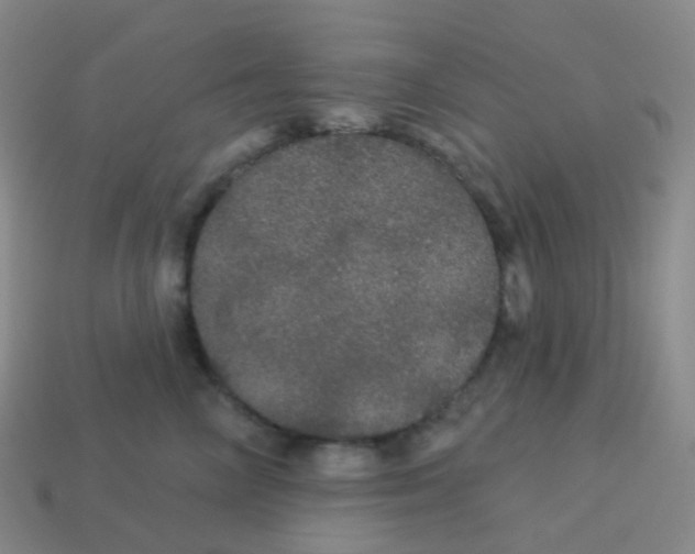 X0000113550714200910161434