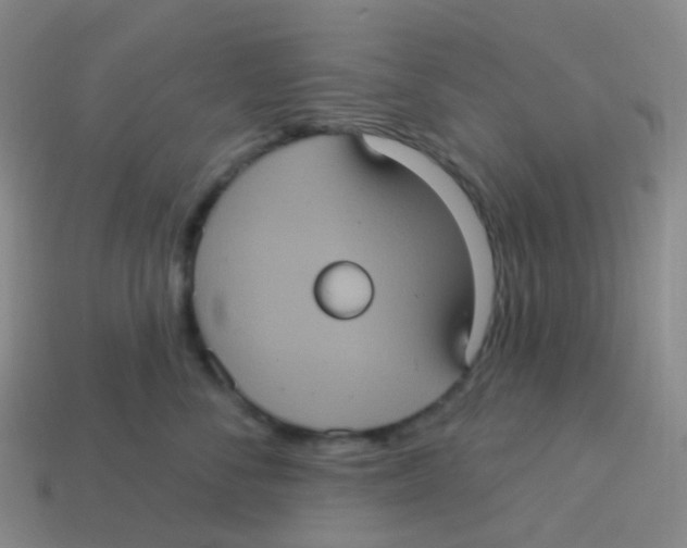X0000113550716200910161434