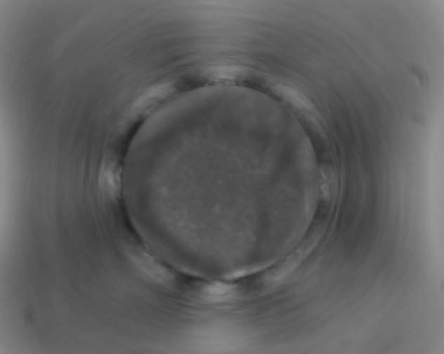 X0000113550718200910161434