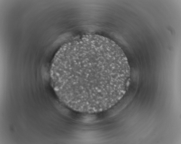X0000113550719200910161434