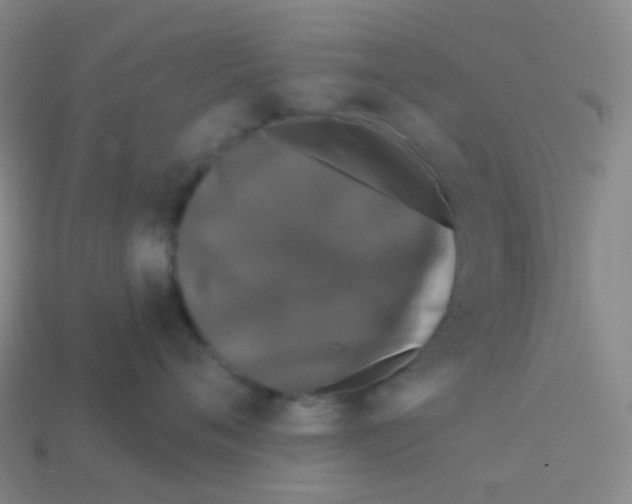 X0000113550720200910161434