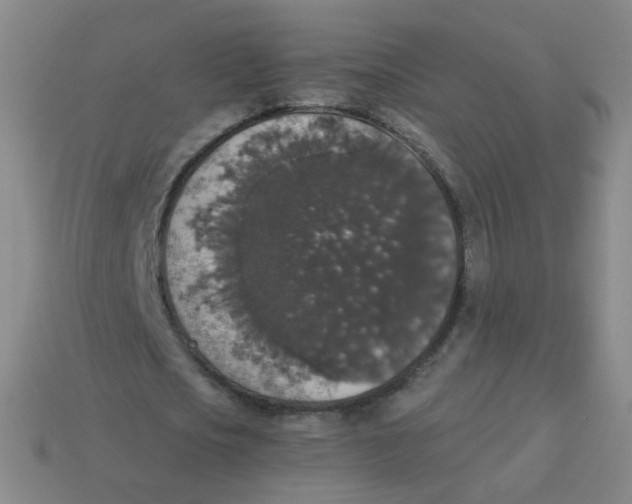 X0000113550721200910161433