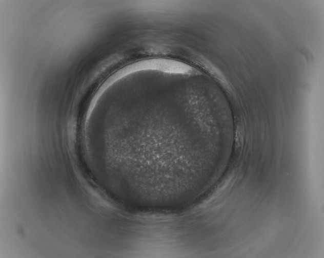 X0000113550722200910161433