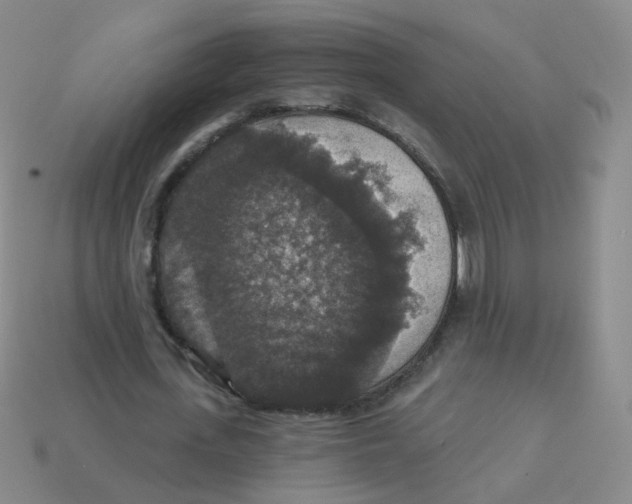 X0000113550723200910161433