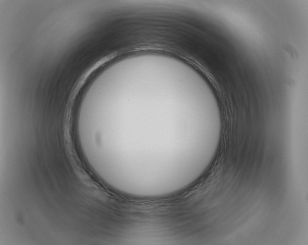X0000113550724200910161433