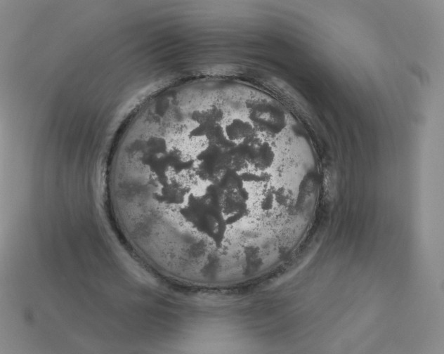 X0000113550725200910161433