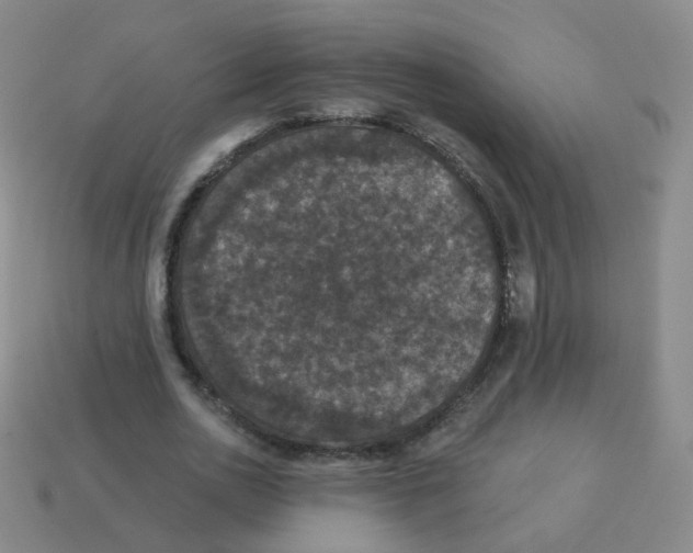X0000113550726200910161433